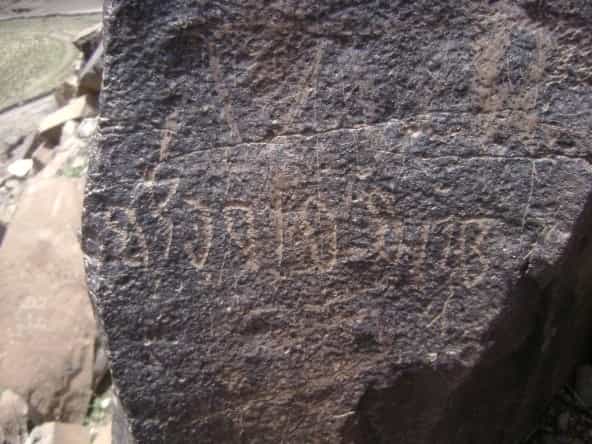 الشرعي ضركام8